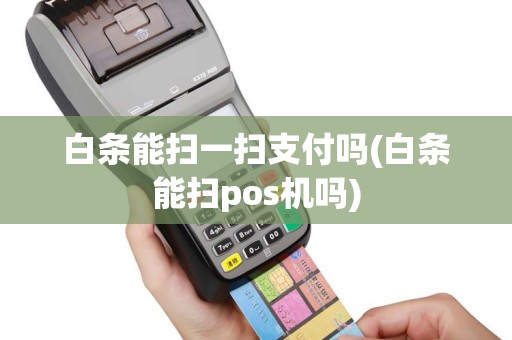 白条能扫一扫支付吗(白条能扫pos机吗)