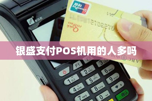 银盛支付POS机用的人多吗