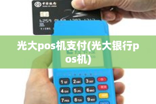 光大pos机支付(光大银行pos机)