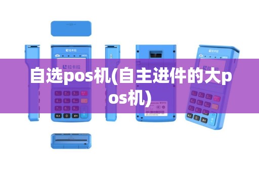 自选pos机(自主进件的大pos机)