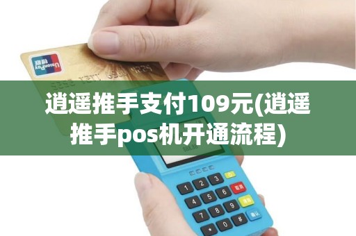 逍遥推手支付109元(逍遥推手pos机开通流程)