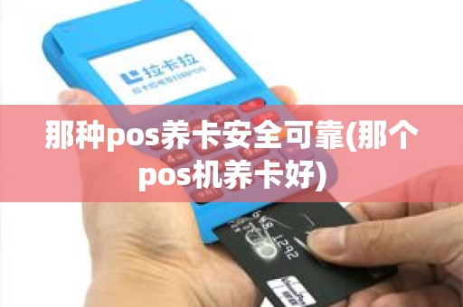 那种pos养卡安全可靠(那个pos机养卡好)