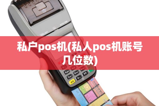 私户pos机(私人pos机账号几位数)