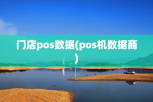 门店pos数据(pos机数据商)