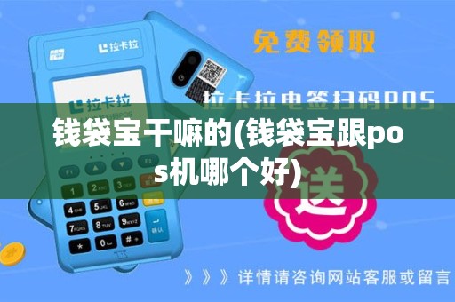 钱袋宝干嘛的(钱袋宝跟pos机哪个好)