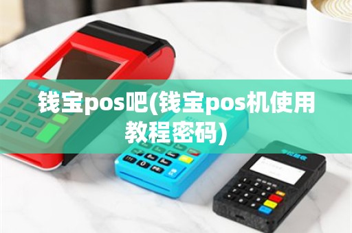 钱宝pos吧(钱宝pos机使用教程密码)