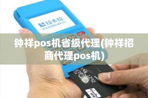 钟祥pos机省级代理(钟祥招商代理pos机)