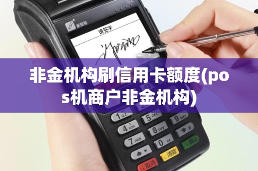 非金机构刷信用卡额度(pos机商户非金机构)