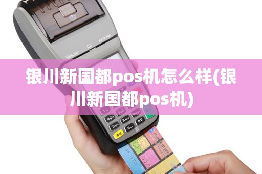 银川新国都pos机怎么样(银川新国都pos机)