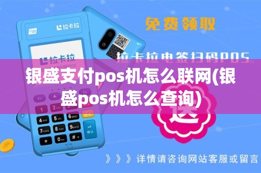 银盛支付pos机怎么联网(银盛pos机怎么查询)