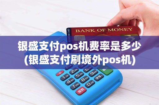 银盛支付pos机费率是多少(银盛支付刷境外pos机)
