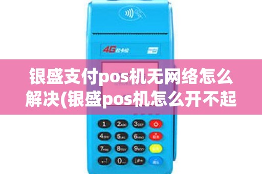银盛支付pos机无网络怎么解决(银盛pos机怎么开不起机了)