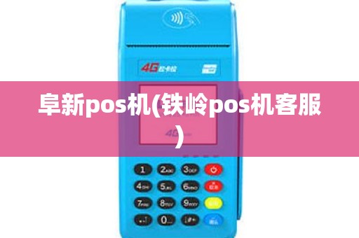 阜新pos机(铁岭pos机客服)