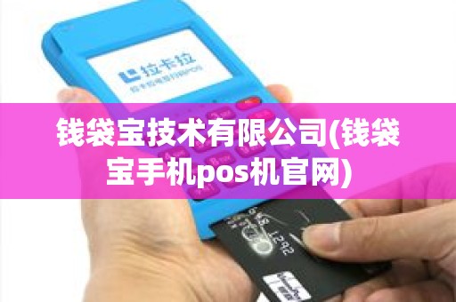 钱袋宝技术有限公司(钱袋宝手机pos机官网)