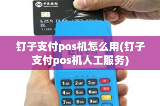 钉子支付pos机怎么用(钉子支付pos机人工服务)