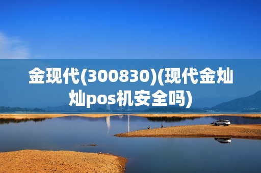 金现代(300830)(现代金灿灿pos机安全吗)