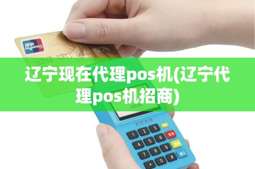 辽宁现在代理pos机(辽宁代理pos机招商)