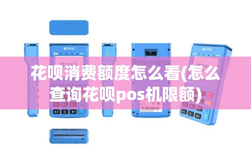 花呗消费额度怎么看(怎么查询花呗pos机限额)