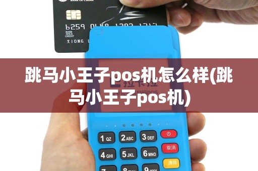 跳马小王子pos机怎么样(跳马小王子pos机)