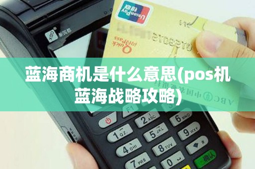 蓝海商机是什么意思(pos机蓝海战略攻略)