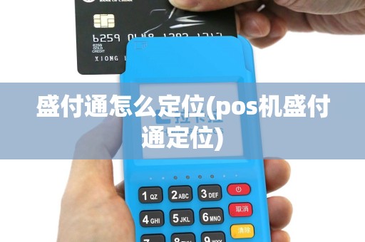 盛付通怎么定位(pos机盛付通定位)