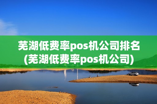 芜湖低费率pos机公司排名(芜湖低费率pos机公司)
