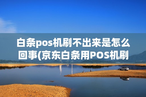白条pos机刷不出来是怎么回事(京东白条用POS机刷失败)