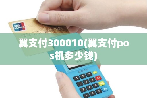 翼支付300010(翼支付pos机多少钱)