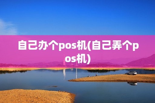 自己办个pos机(自己弄个pos机)