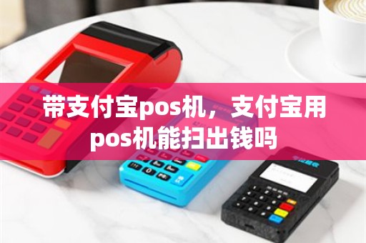 带支付宝pos机，支付宝用pos机能扫出钱吗