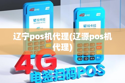 辽宁pos机代理(辽源pos机代理)