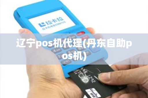 辽宁pos机代理(丹东自助pos机)