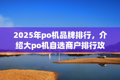 2025年po机品牌排行，介绍大po机自选商户排行攻略