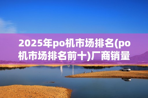 2025年po机市场排名(po机市场排名前十)厂商销量榜
