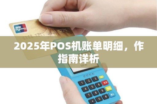 2025年POS机账单明细，作指南详析