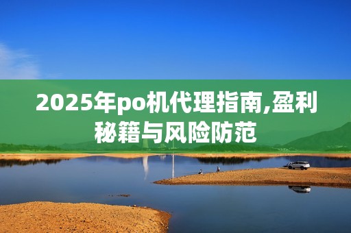 2025年po机代理指南,盈利秘籍与风险防范