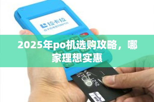 2025年po机选购攻略，哪家理想实惠