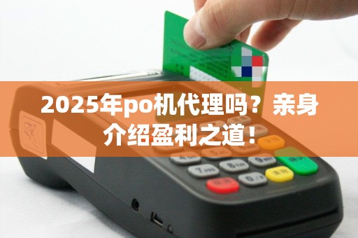 2025年po机代理吗？亲身介绍盈利之道！