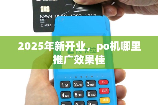 2025年新开业，po机哪里推广效果佳