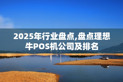 2025年行业盘点,盘点理想牛POS机公司及排名