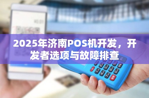 2025年济南POS机开发，开发者选项与故障排查