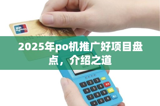 2025年po机推广好项目盘点，介绍之道