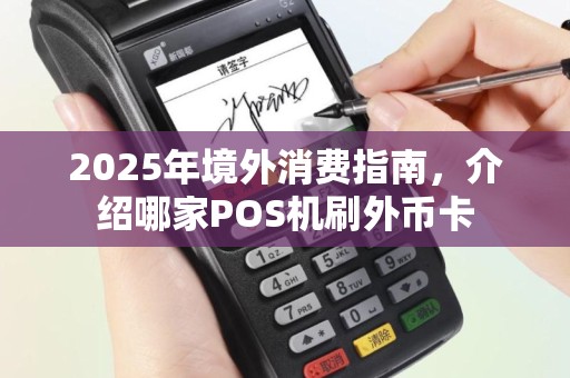 2025年境外消费指南，介绍哪家POS机刷外币卡