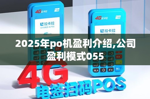 2025年po机盈利介绍,公司盈利模式055