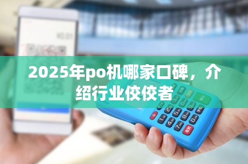 2025年po机哪家口碑，介绍行业佼佼者