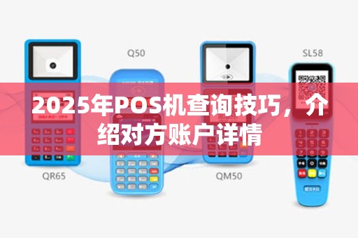 2025年POS机查询技巧，介绍对方账户详情