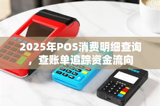 2025年POS消费明细查询，查账单追踪资金流向