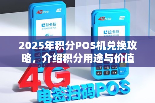 2025年积分POS机兑换攻略，介绍积分用途与价值
