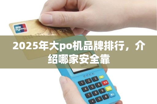 2025年大po机品牌排行，介绍哪家安全靠