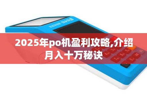 2025年po机盈利攻略,介绍月入十万秘诀
